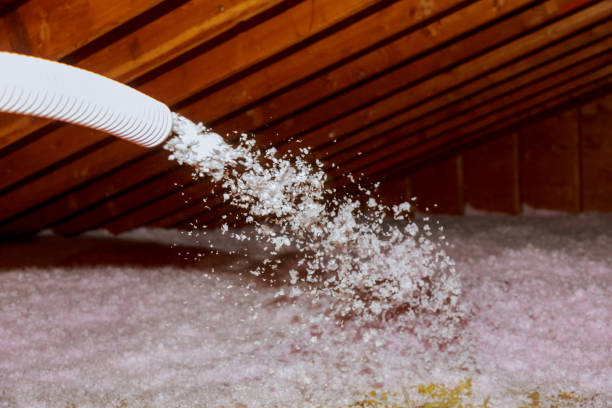 Best Garage Insulation Installation  in Hardinsburg, KY
