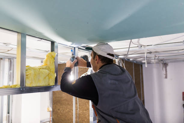 Best Best Insulation Companies  in Hardinsburg, KY