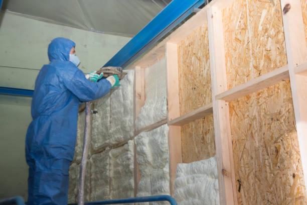 Best Local Insulation Services  in Hardinsburg, KY
